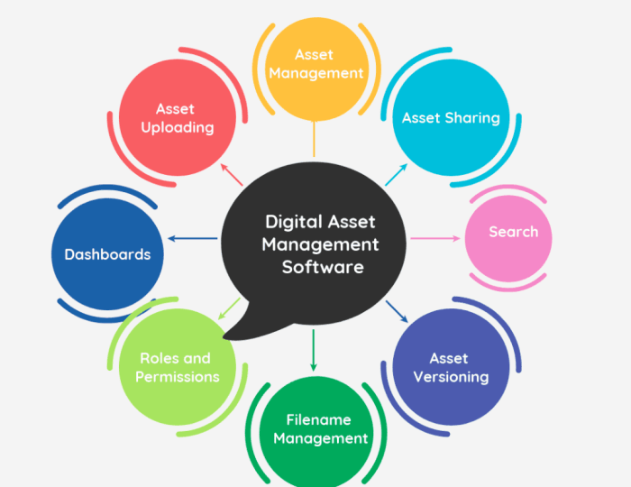 Management asset digital platform wireframe saved dam users showing access adobe platforms